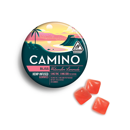 Watermelon Lemonade
